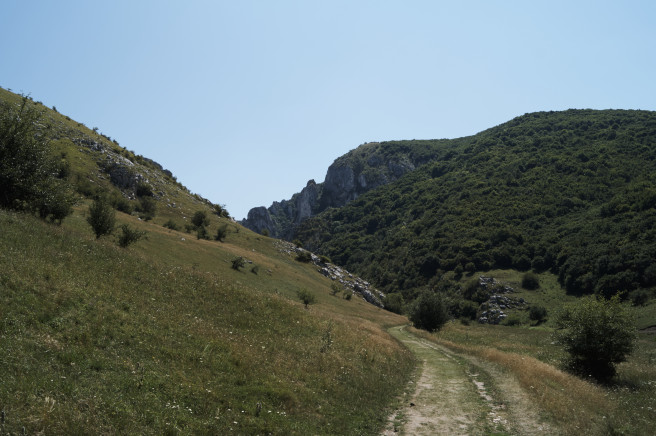 e118 mm395.jpg