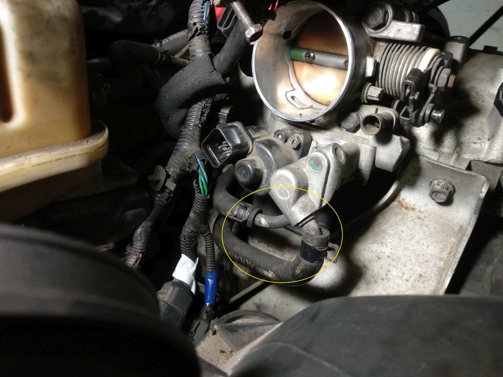 (18).jpg